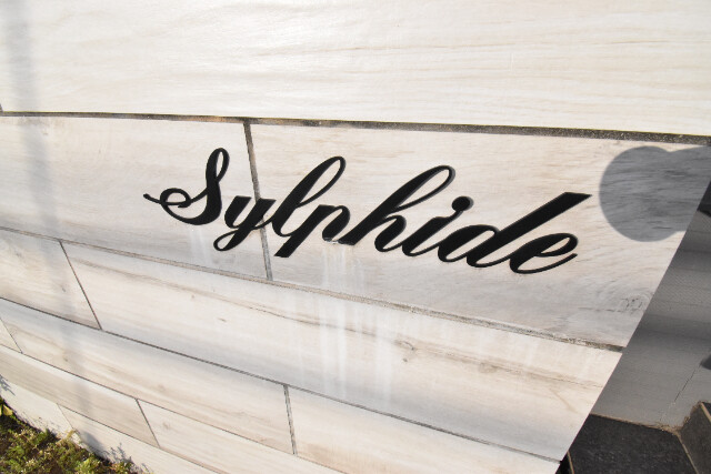 ��ʌ��������܎s�΋擌�Y�a�T���ڂ̃}���V�����̎���