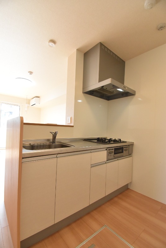 ��ʌ�����s�厚���̃A�p�[�g�̃L�b�`��