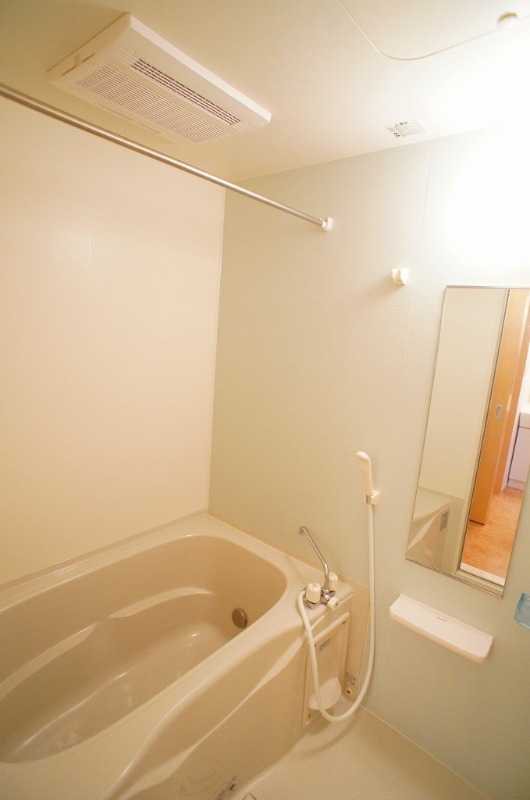 ��ʌ��k�����S�������厚�����̃A�p�[�g�̃o�X