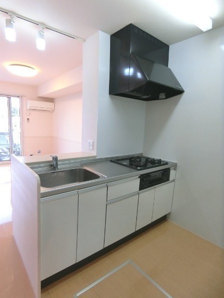 ��ʌ��������܎s�΋�����U���ڂ̃A�p�[�g�̃L�b�`��