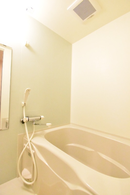 ��ʌ��z�J�s���C�N�^�E���W���ڂ̃}���V�����̃o�X