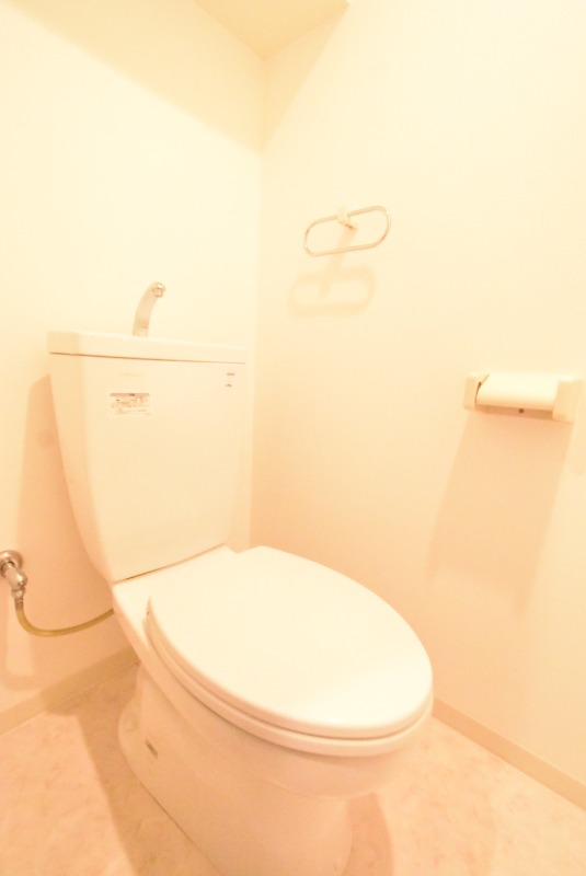 ��ʌ�����s������S���ڂ̃}���V�����̃g�C��