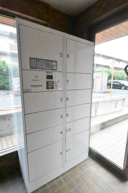 ��ʌ�����s�厚���s�̃}���V�����̂��̑�