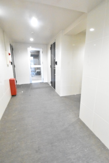 ��ʌ��������܎s��{���Ԓ��P���ڂ̃}���V�����̂��̑�