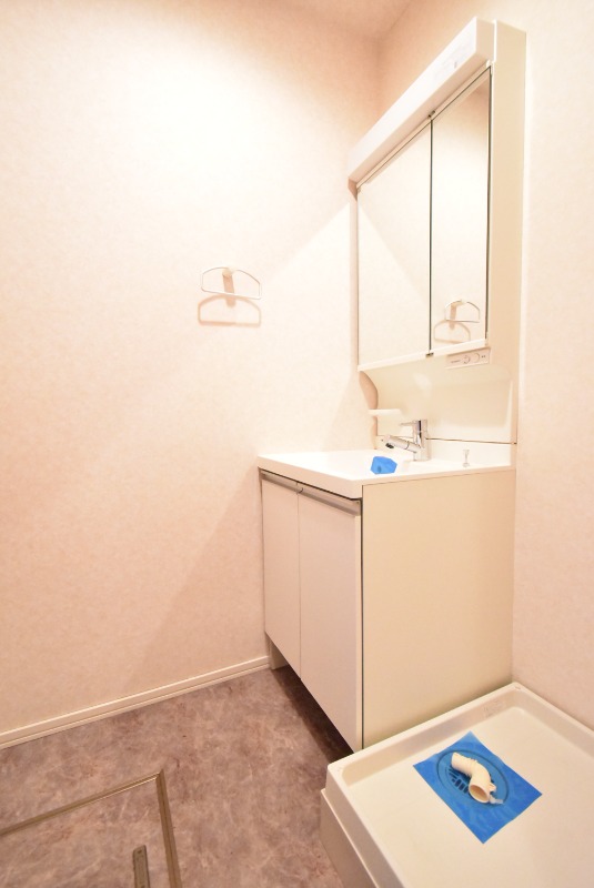 ��ʌ�����s������P���ڂ̃}���V�����̐��ʏ�