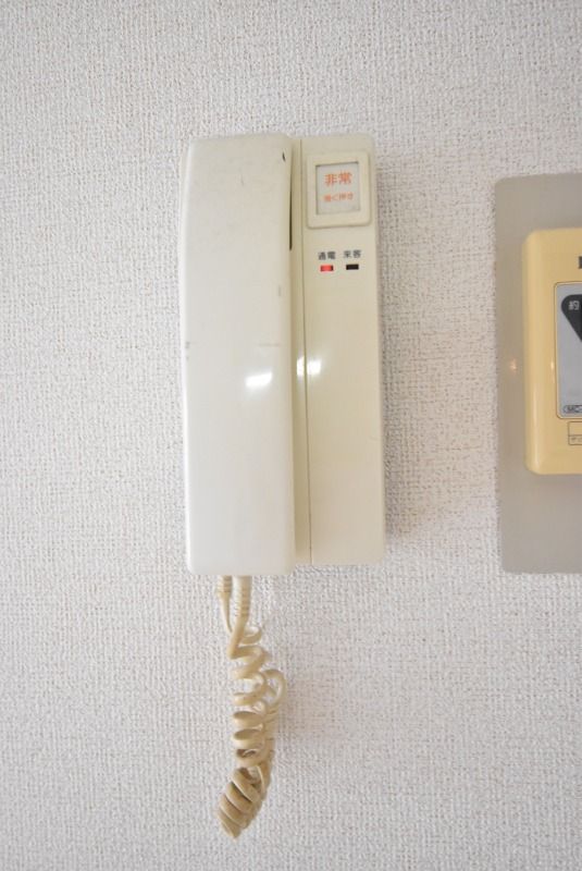 ��ʌ�����s������U���ڂ̃}���V�����̂��̑�