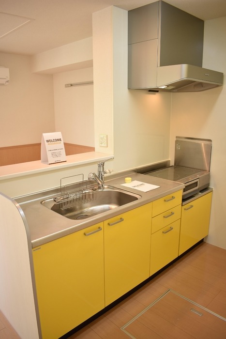 ��ʌ�����s�{���U���ڂ̃A�p�[�g�̃L�b�`��