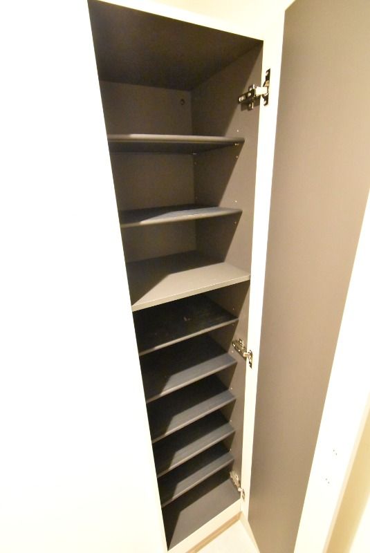 ��ʌ�����s����T���ڂ̃}���V�����̎��[