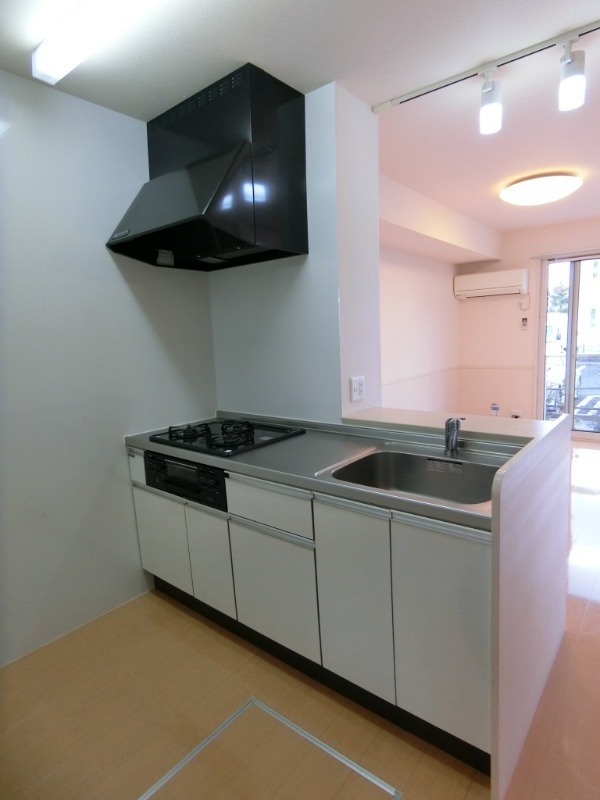 ��ʌ��������܎s�΋�����U���ڂ̃A�p�[�g�̃L�b�`��