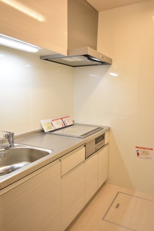 ��ʌ��������܎s�����擌��{�S���ڂ̃A�p�[�g�̃L�b�`��