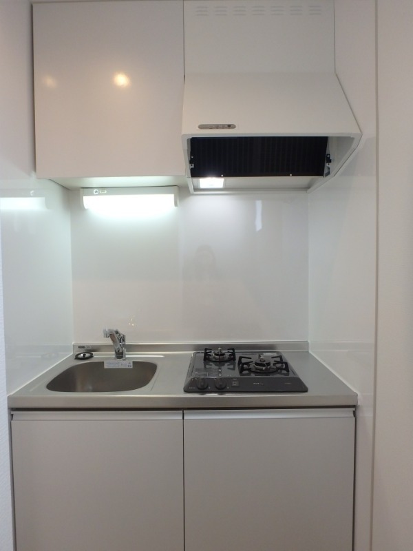 ��ʌ��������܎s�������a�c���P���ڂ̃A�p�[�g�̃L�b�`��