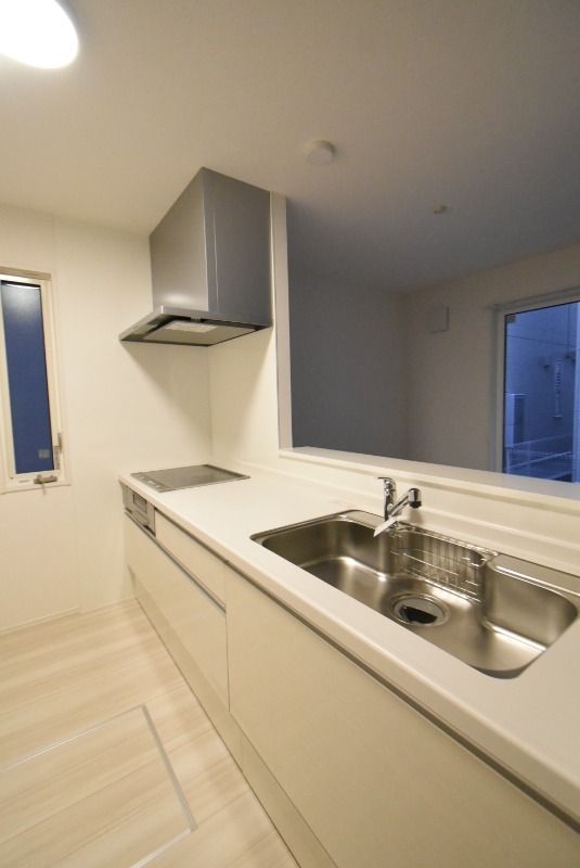 ��ʌ��������܎s��΋�약��Q���ڂ̈�ˌ��ẴL�b�`��