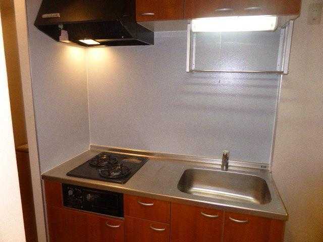 ��ʌ��������܎s����厚��v�ۗ̉Ƃ̃A�p�[�g�̃L�b�`��