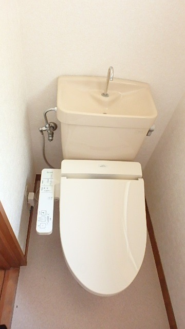 ��ʌ��������܎s��΋�厚�ÃP��̈�ˌ��Ẵg�C��