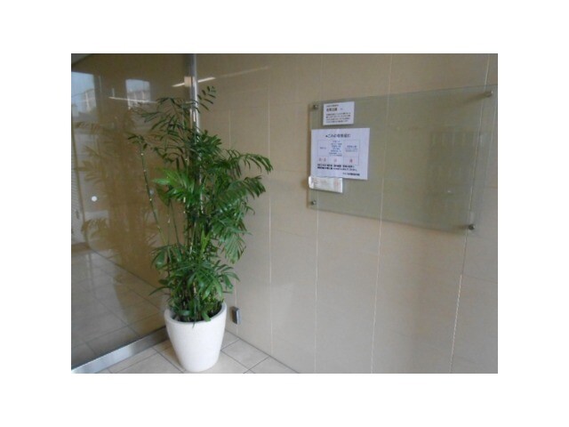 ��ʌ��������܎s�Y�a�捂���S���ڂ̃}���V�����̃G���g�����X