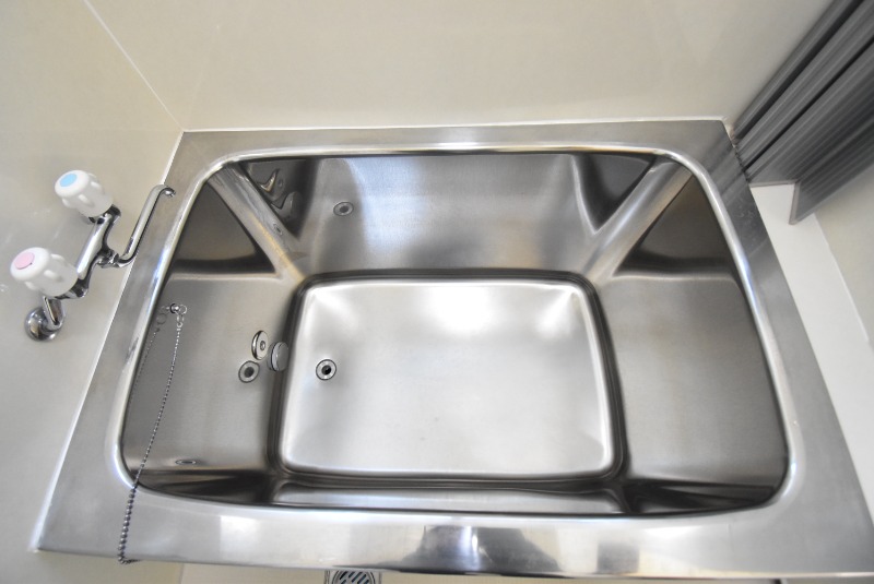 ��ʌ�����s�厚�_�˂̈�ˌ��Ẵo�X