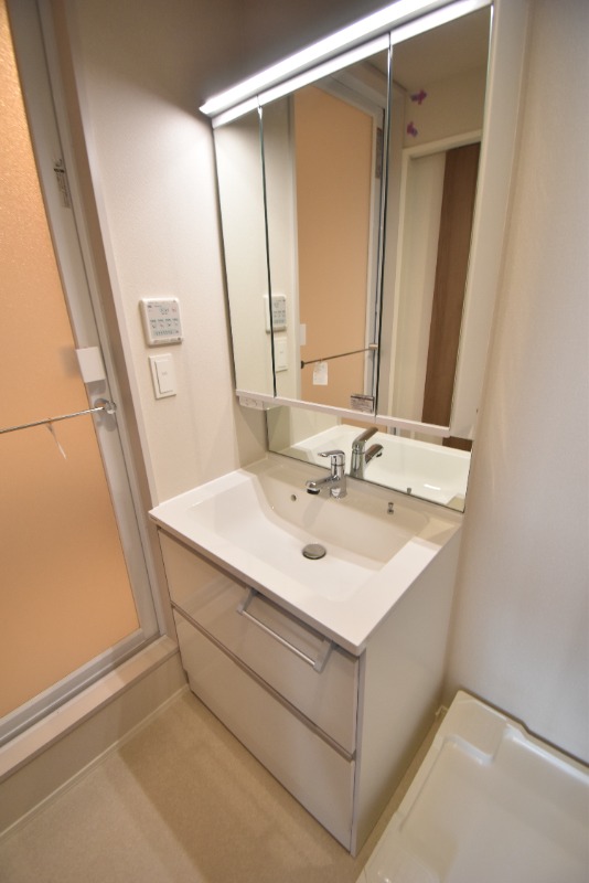 ��ʌ��������܎s�Y�a�擌�����̃}���V�����̐��ʏ�