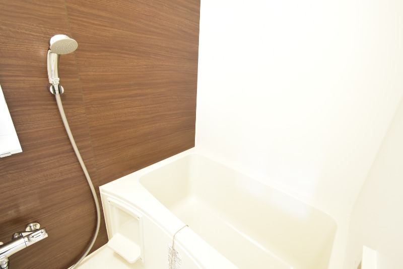 ��ʌ��t�����s�h���P���ڂ̃}���V�����̃o�X