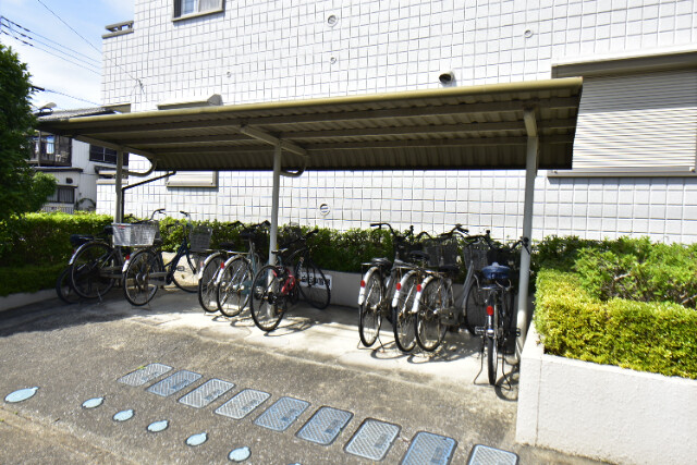 ��ʌ��t�����s�h���P���ڂ̃}���V�����̂��̑�