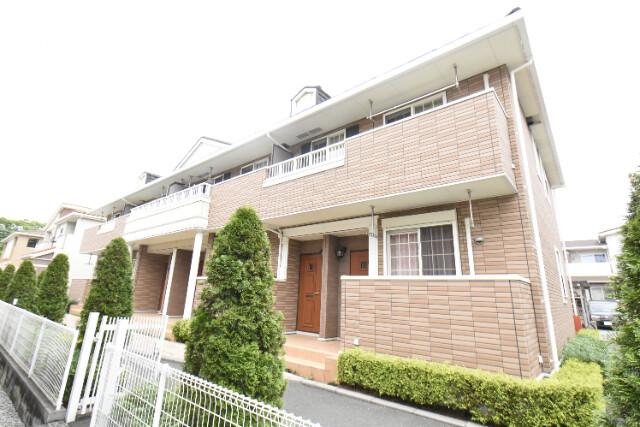 ��ʌ��k�����S�ɓޒ��h�S���ڂ̃A�p�[�g�̃G���g�����X