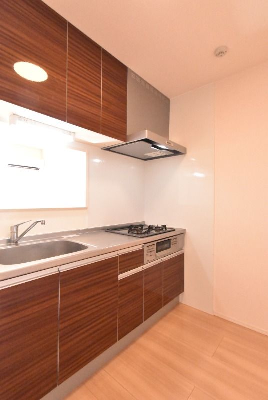 ��ʌ������s�ٓV�P���ڂ̃A�p�[�g�̃L�b�`��