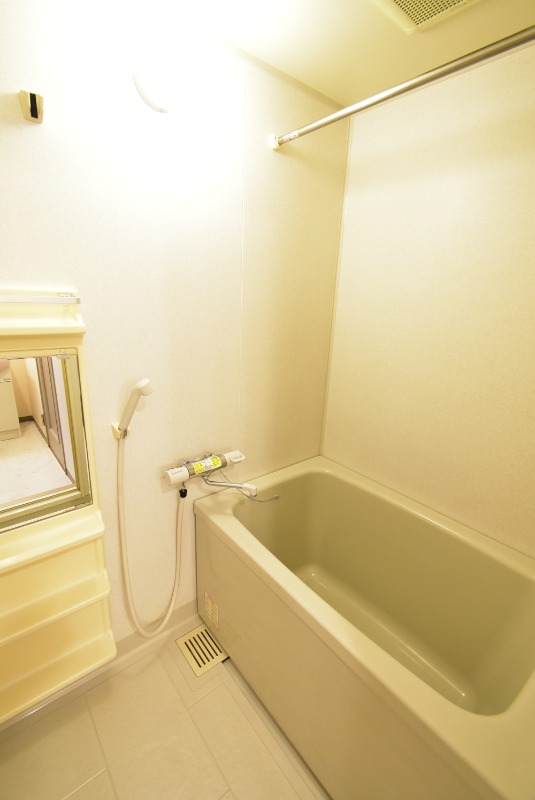 ��ʌ��������܎s��{��x�̓����P���ڂ̃}���V�����̃o�X