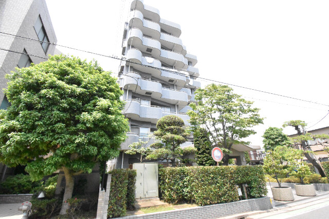 ��ʌ��������܎s��{��x�̓����P����231�̃}���V�����̌����O��