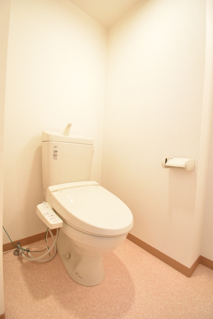 ��ʌ��������܎s������厚�������̃}���V�����̃g�C��