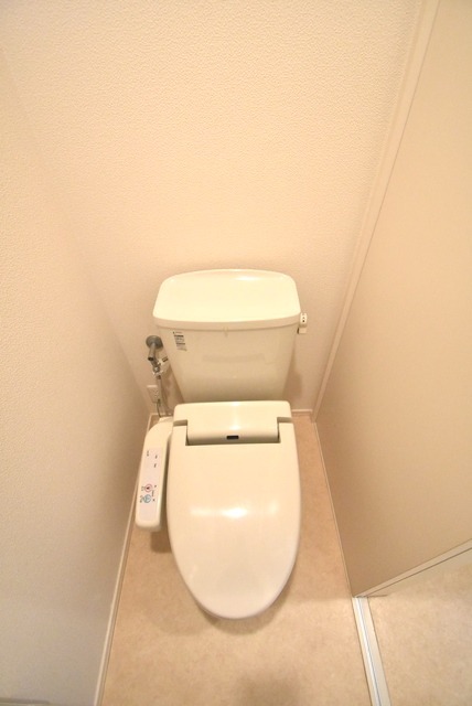 ��ʌ�����s���V���̃}���V�����̃g�C��