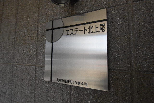 ��ʌ�����s���V���̃}���V�����̂��̑�