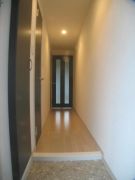 ��ʌ�����s���L�P���ڂ̃}���V�����̌���