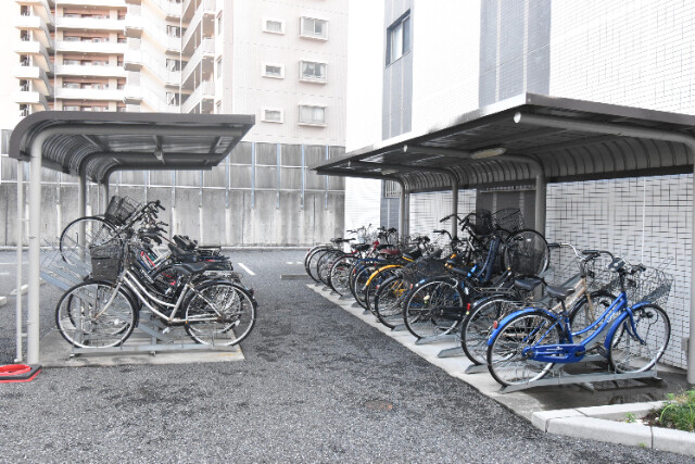 ��ʌ�����s���L�P���ڂ̃}���V�����̂��̑�