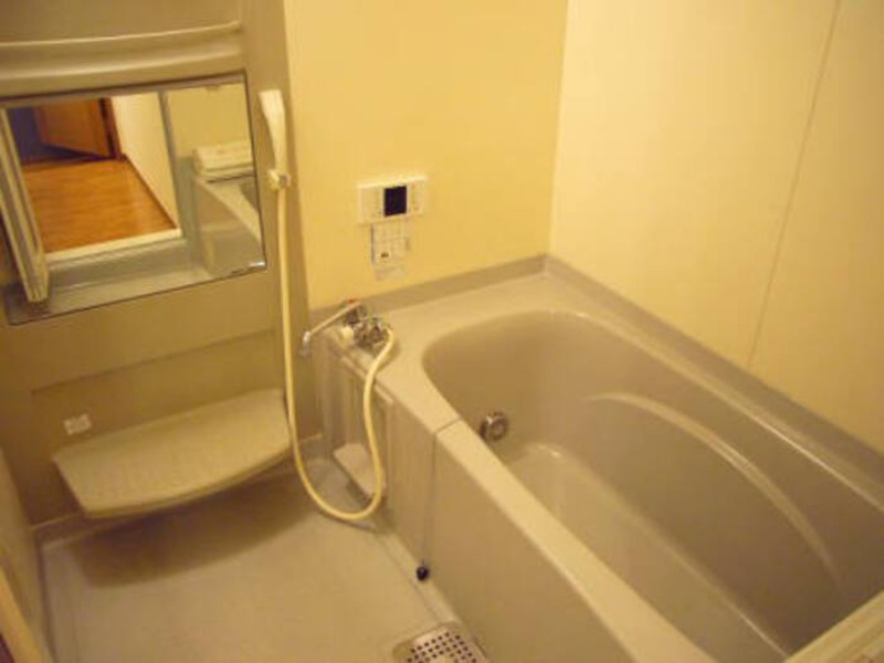 ��ʌ��k�����S�ɓޒ������P���ڂ̃A�p�[�g�̃o�X