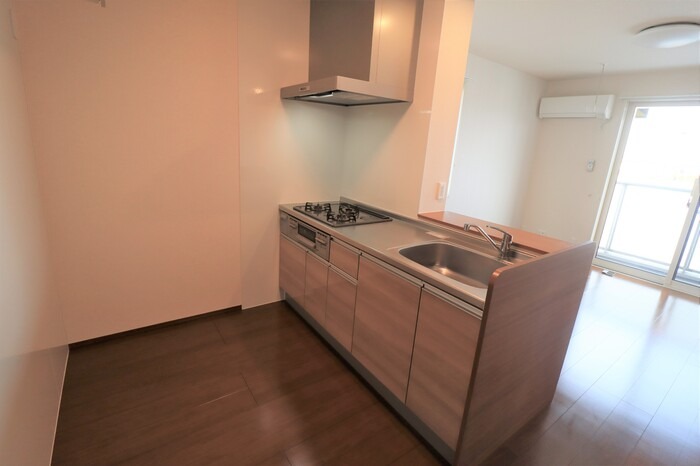 ��ʌ��z�J�s���C�N�^�E���T���ڂ̃A�p�[�g�̃L�b�`��