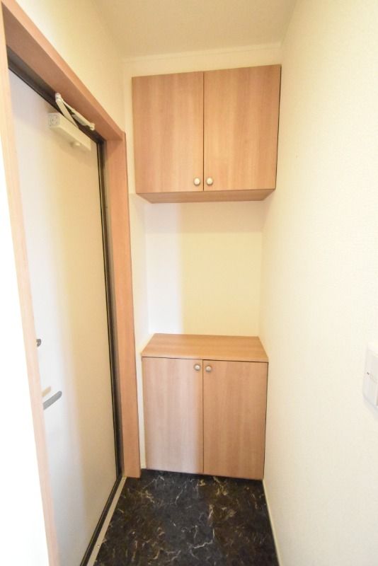 ��ʌ��z�J�s���C�N�^�E���U���ڂ̃A�p�[�g�̌���