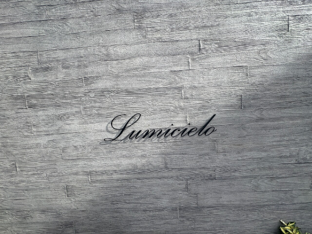 ��ʌ��������܎s��{��O���P���ڂ̃}���V�����̂��̑�