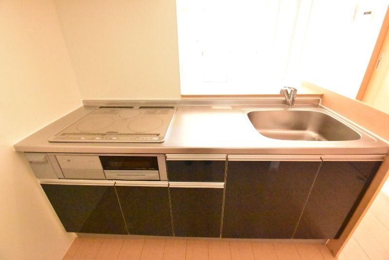 ��ʌ��z�J�s���C�N�^�E���U���ڂ̃A�p�[�g�̃L�b�`��