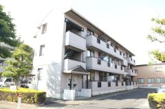 ��ʌ�����s������U����19-3�̃A�p�[�g�̌����O��