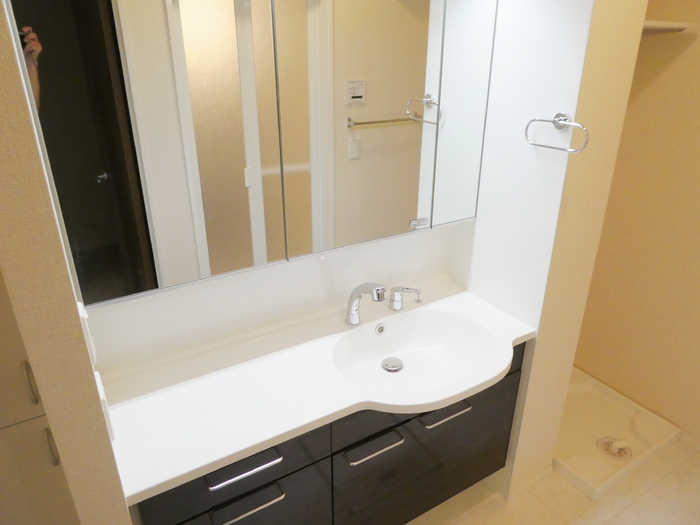 ��ʌ�����s�����S���ڂ̃A�p�[�g�̐��ʏ�