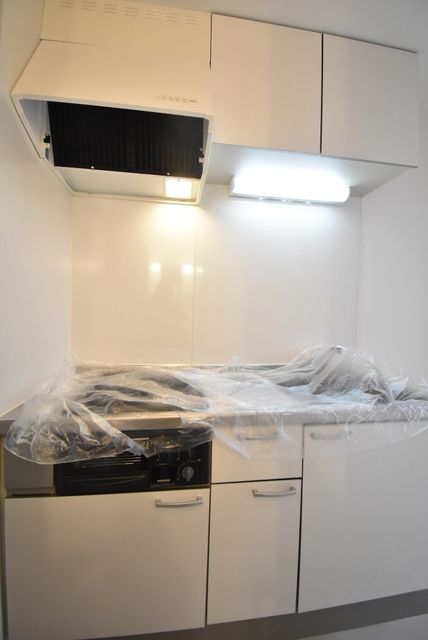 ��ʌ��������܎s�k����i���Q���ڂ̃A�p�[�g�̃L�b�`��