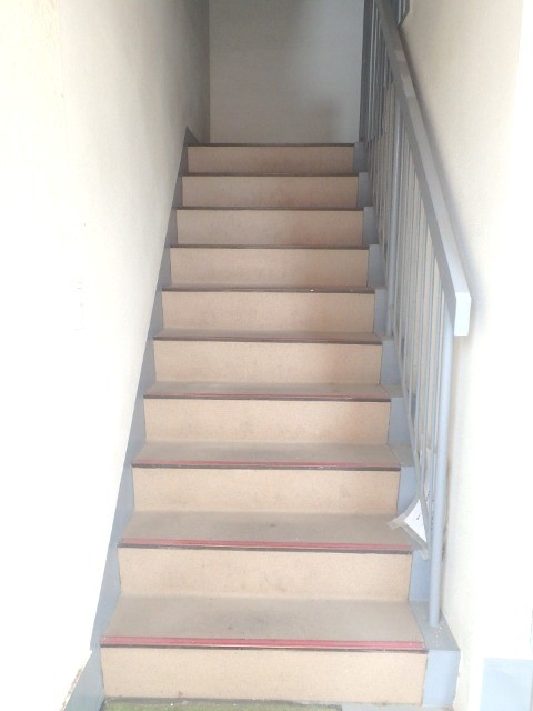 ��ʌ��������܎s�k����i���Q���ڂ̃}���V�����̂��̑�