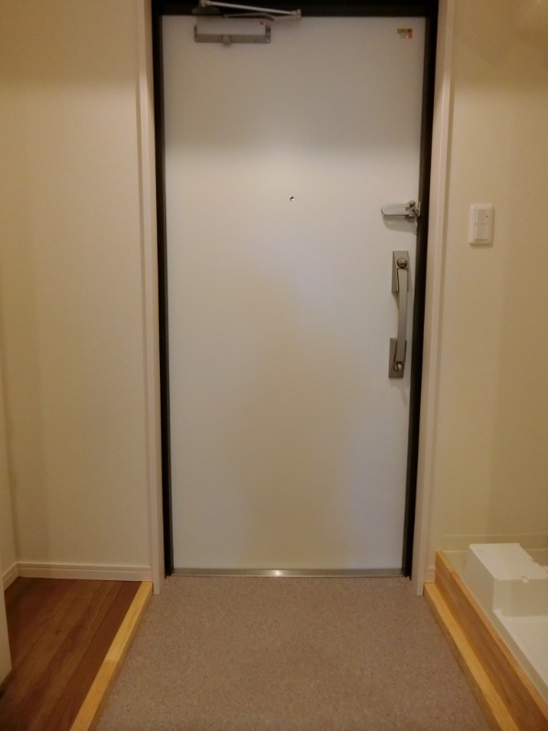 ��ʌ��������܎s�����扺�����V���ڂ̃}���V�����̌���