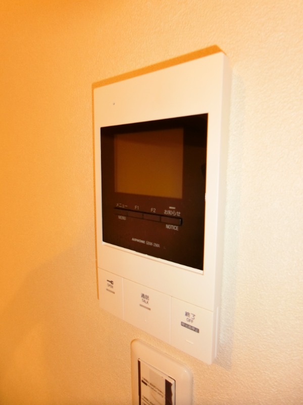 ��ʌ��������܎s�����扺�����V���ڂ̃}���V�����̂��̑�