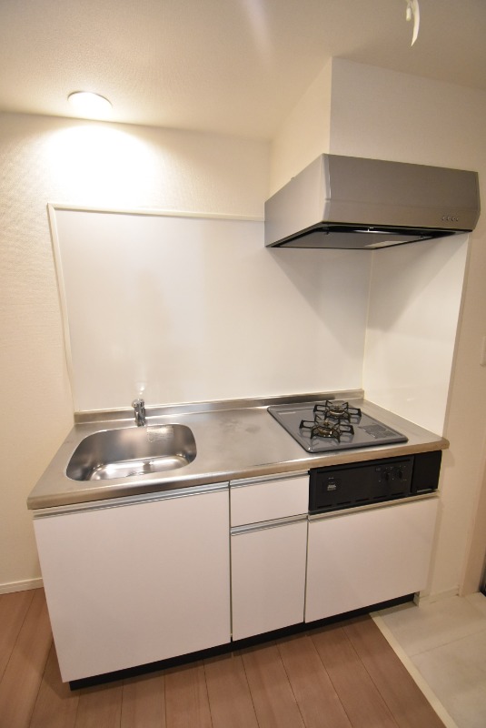 ��ʌ��������܎s�k����i���Q���ڂ̃A�p�[�g�̃L�b�`��