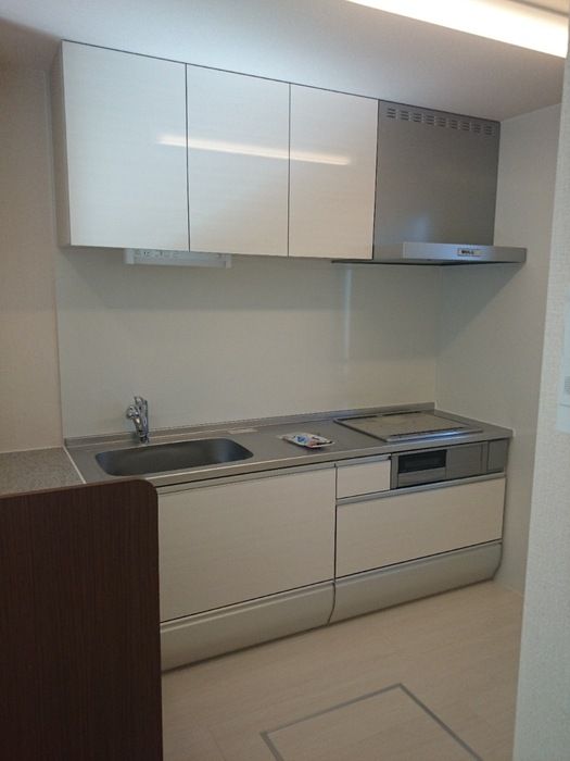 ��ʌ��������܎s���搼��{�S���ڂ̃A�p�[�g�̃L�b�`��