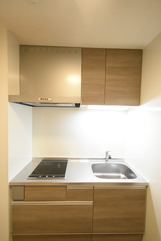 ��ʌ��������܎s��{���Ԓ��Q���ڂ̃A�p�[�g�̃L�b�`��