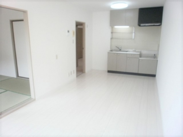 ��ʌ��k�����S�ɓޒ��厚��j�̃A�p�[�g�̃L�b�`��