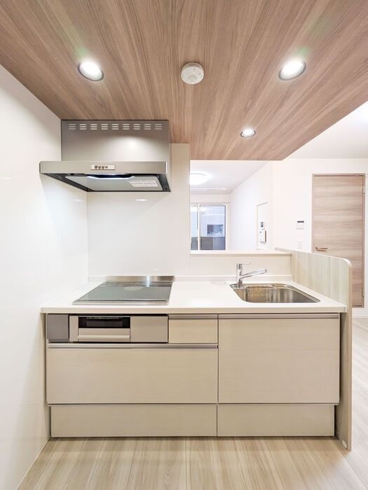 ��ʌ��������܎s�k��y�C���Q���ڂ̃A�p�[�g�̃L�b�`��