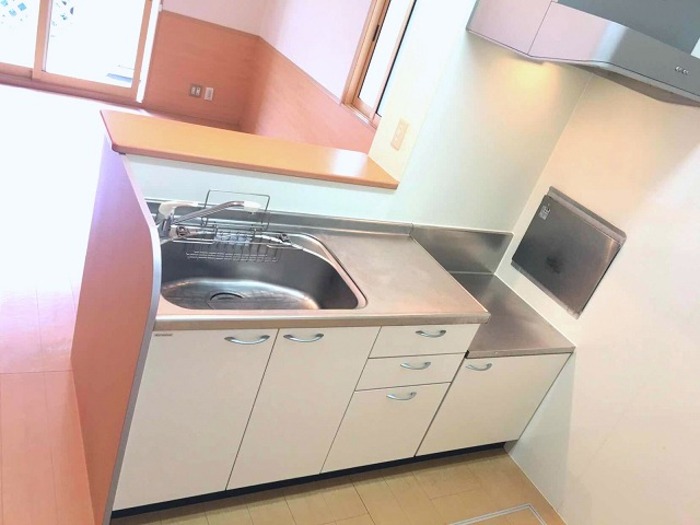 ��ʌ��������܎s����厚��v�ۗ̉Ƃ̃A�p�[�g�̃L�b�`��