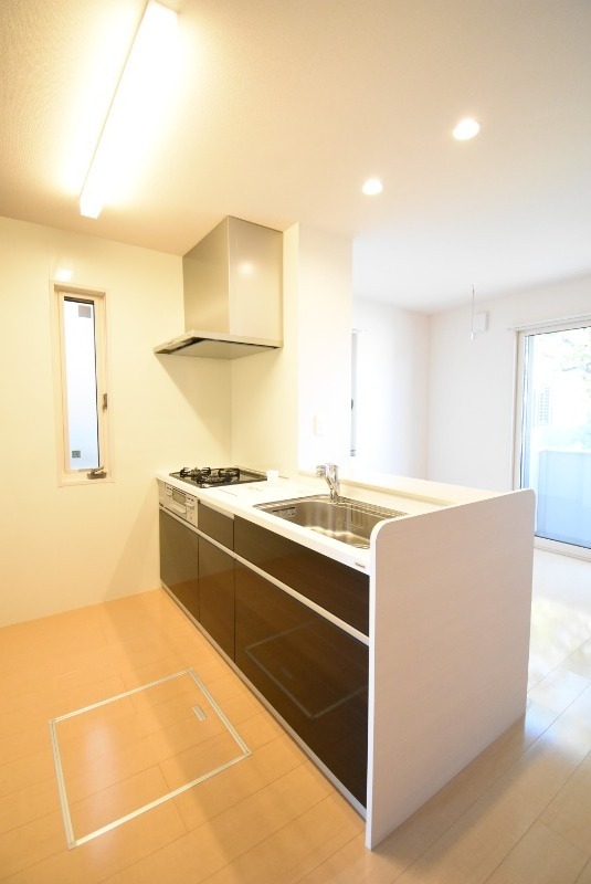 ��ʌ��������܎s����厚���V�n�̃A�p�[�g�̃L�b�`��